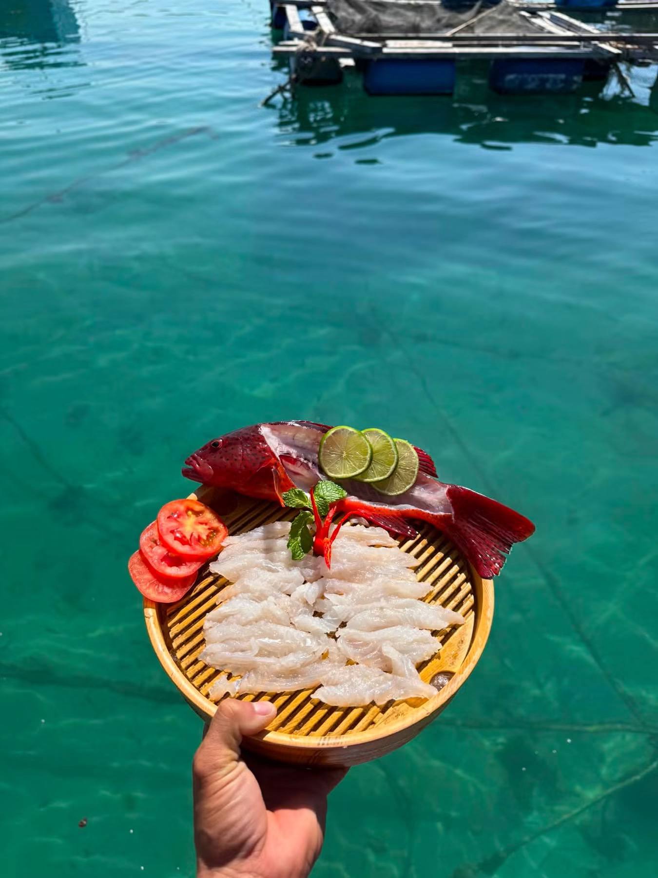 Khay hải sản tươi sống vừa cập bến đảo Phú Quý — Ốc bàn tay, tôm hùm và cá biển